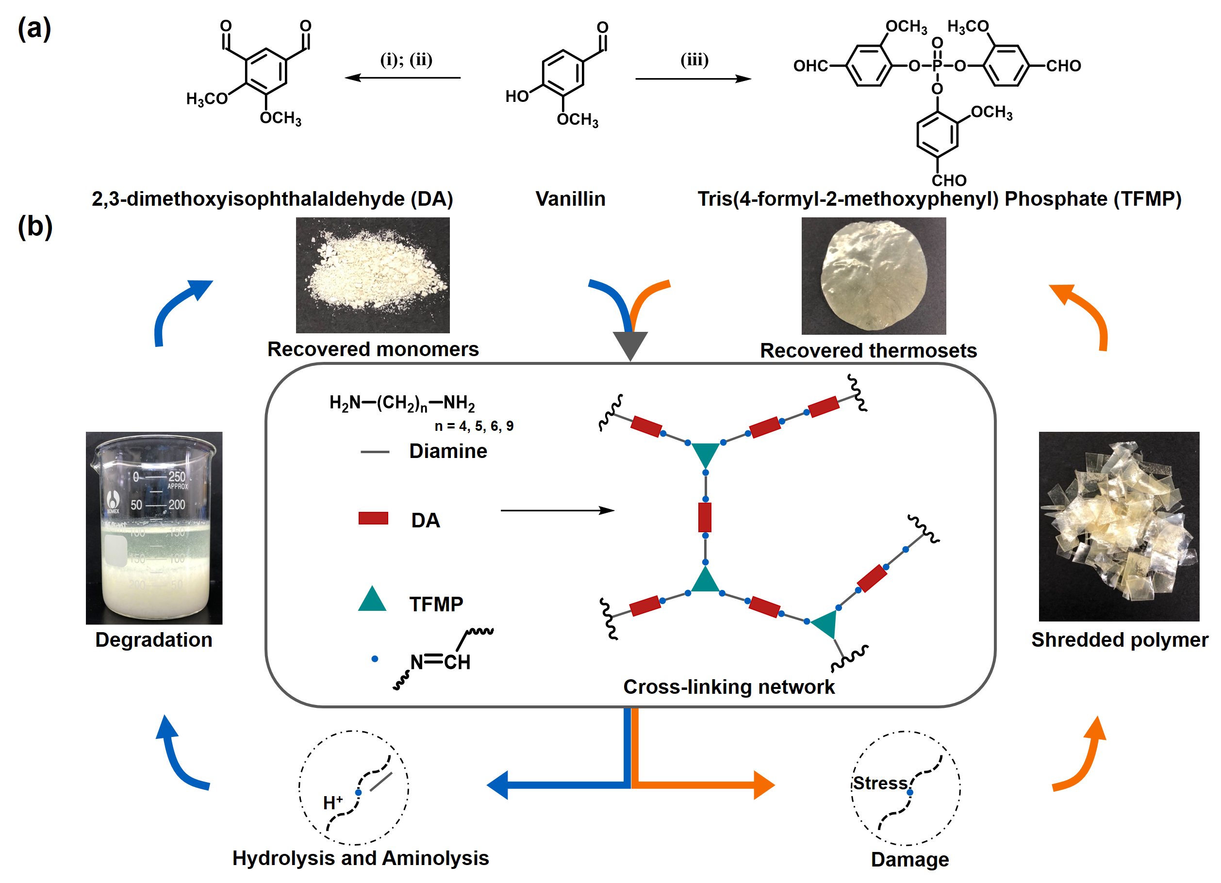 Trialdehyde Fully Bio-Based High-Performance Thermosets with Closed-Loop ...